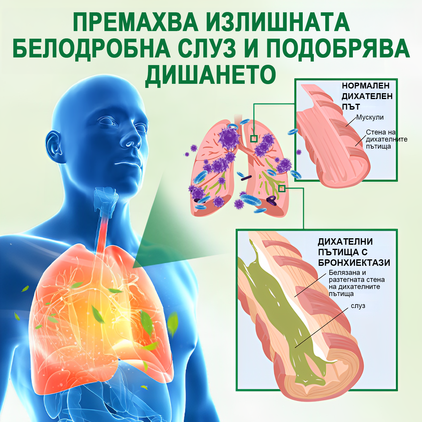 [Официален водещ магазин на марката]👨‍⚕️𝐌𝐈𝐐𝐈𝐊𝐎® Напреднал спрей за прочистване на белите дробове (☘️Препоръчван от белодробни специалисти☘️)