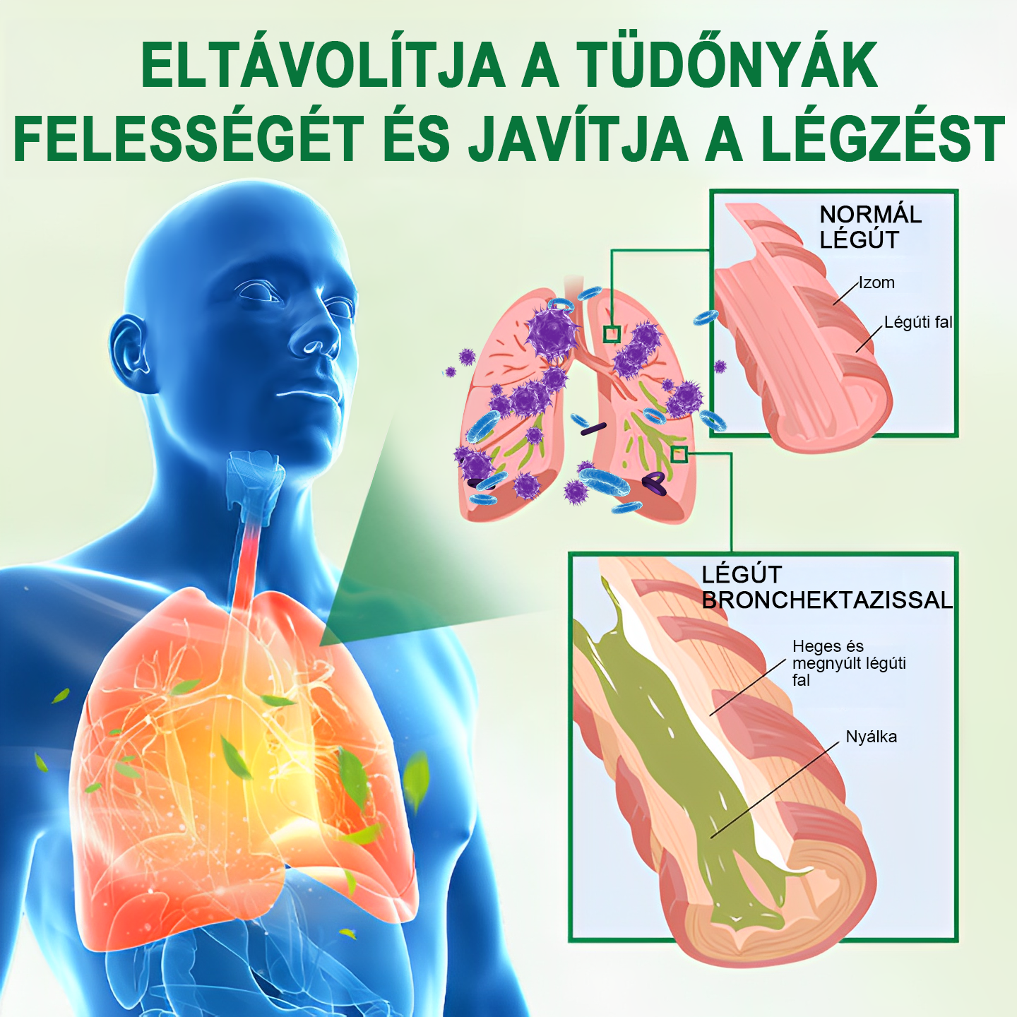 [Hivatalos márkaüzlet] 👨‍⚕️𝐌𝐈𝐐𝐈𝐊𝐎® Fejlett tüdőtisztító spray (☘️Tüdőspecialisták ajánlásával☘️)